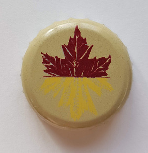 Molson canadian, Molson Coors